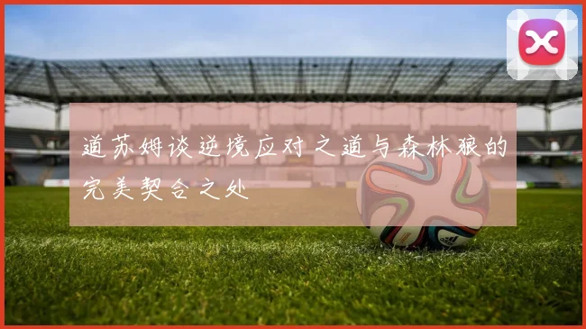 道苏姆谈逆境应对之道与森林狼的完美契合之处