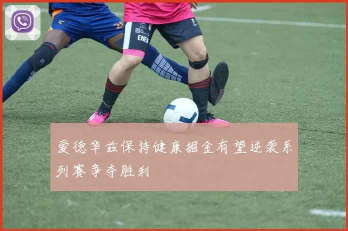 爱德华兹保持健康掘金有望逆袭系列赛争夺胜利