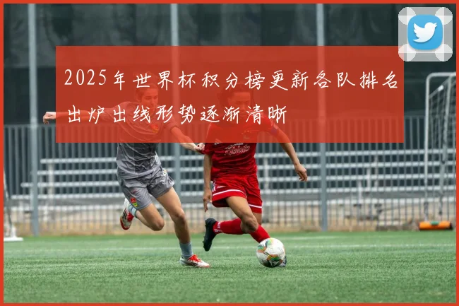 2025年世界杯积分榜更新各队排名出炉出线形势逐渐清晰